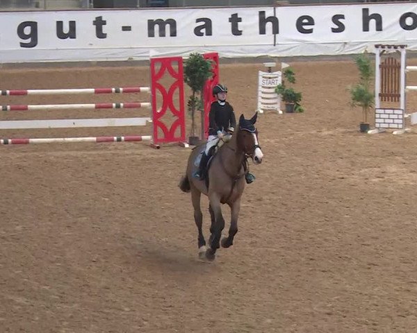 Reitturnier Kreuth/Opf. 2020
