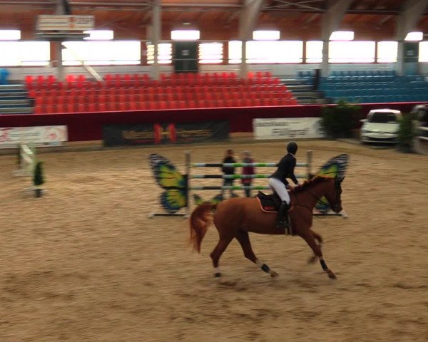 Reitturnier Neustadt/Dosse 2020