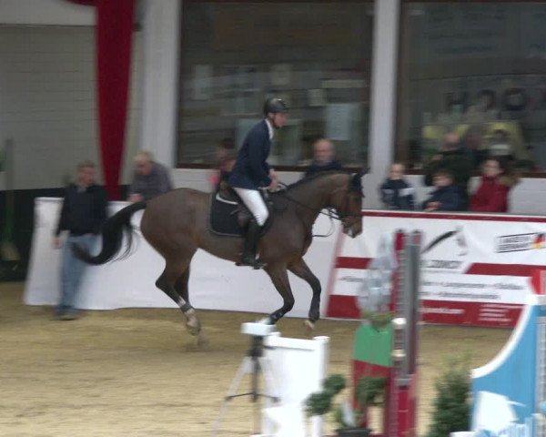 Reitturnier Borken 2020