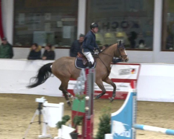 Reitturnier Borken 2020