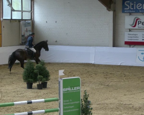 Reitturnier Borken 2020