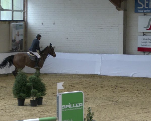 Reitturnier Borken 2020