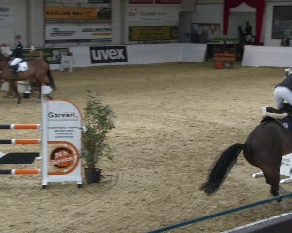 Reitturnier Borken 2020