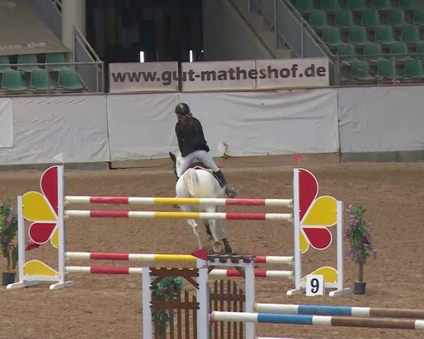 Reitturnier Kreuth/Opf. 2020