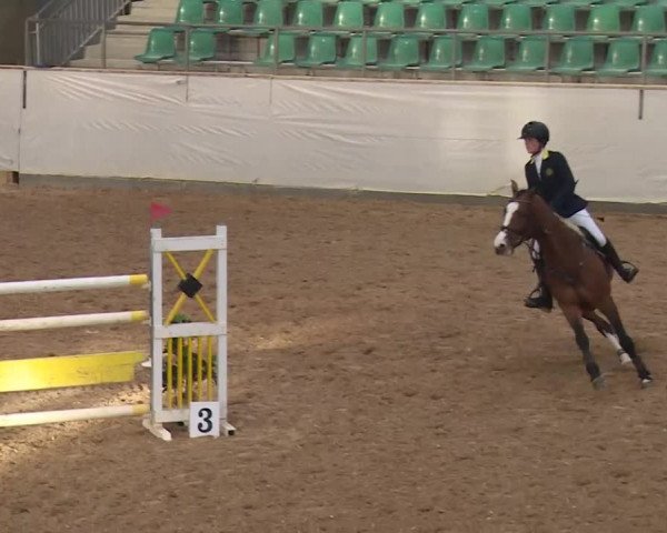 Reitturnier Kreuth/Opf. 2020