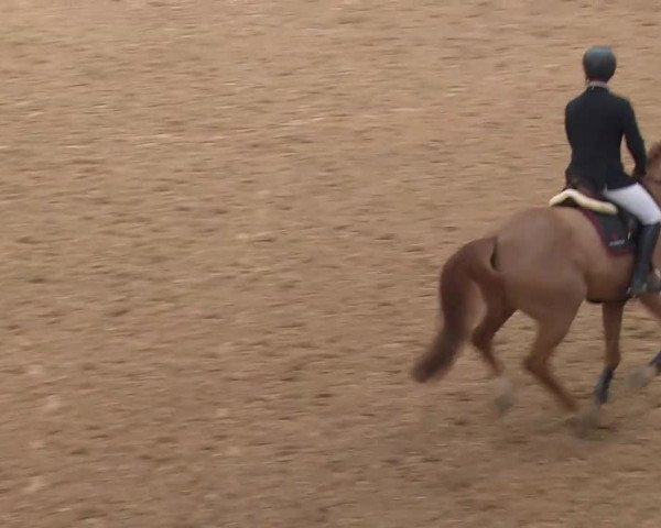 Reitturnier Kreuth/Opf. 2020
