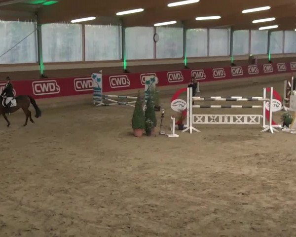Reitturnier Kaldenkirchen - Gestüt Seehof 2020