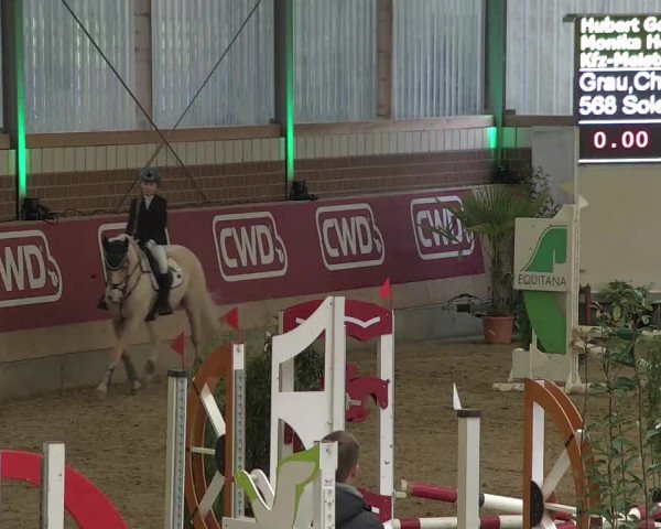 Reitturnier Kaldenkirchen - Gestüt Seehof 2020
