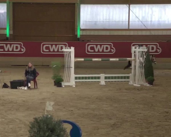 Reitturnier Kaldenkirchen - Gestüt Seehof 2020