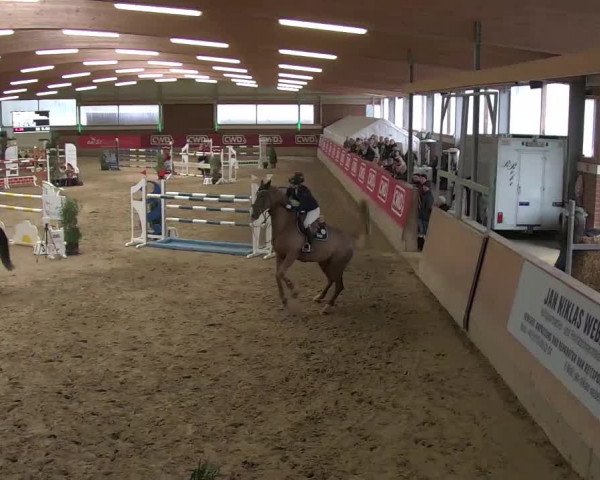 Reitturnier Kaldenkirchen - Gestüt Seehof 2020