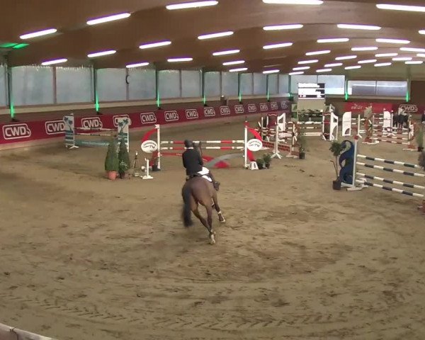 Reitturnier Kaldenkirchen - Gestüt Seehof 2020