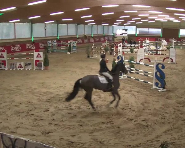 Reitturnier Kaldenkirchen - Gestüt Seehof 2020
