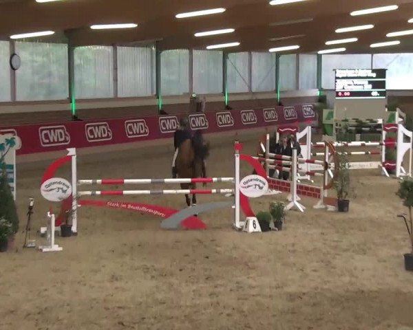 Reitturnier Kaldenkirchen - Gestüt Seehof 2020