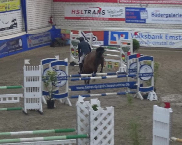 Reitturnier Lathen 2020