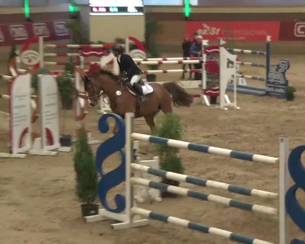 Reitturnier Kaldenkirchen - Gestüt Seehof 2020
