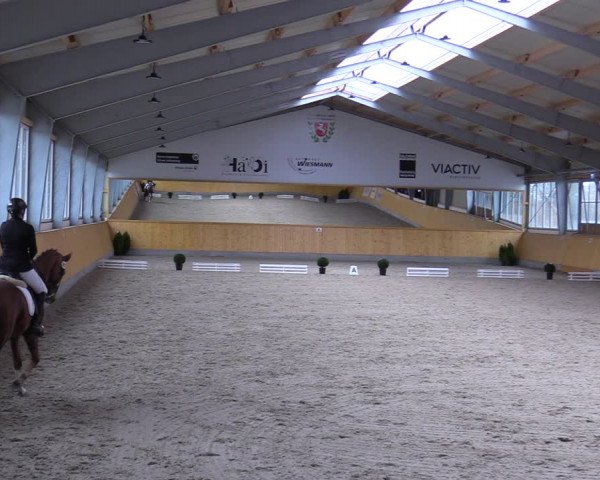Reitturnier Münster-Amelsbüren 2020