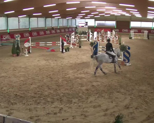 Reitturnier Kaldenkirchen - Gestüt Seehof 2020