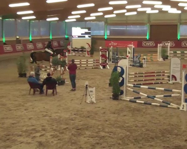 Reitturnier Kaldenkirchen - Gestüt Seehof 2020