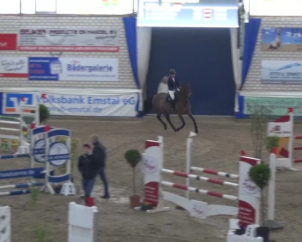 Reitturnier Lathen 2020