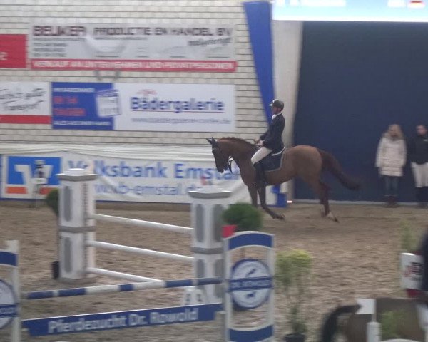 Reitturnier Lathen 2020