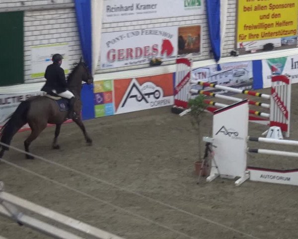 Reitturnier Lathen 2020