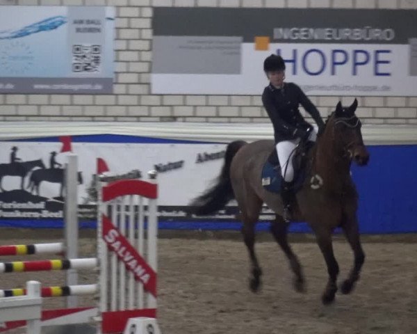 Reitturnier Lathen 2020