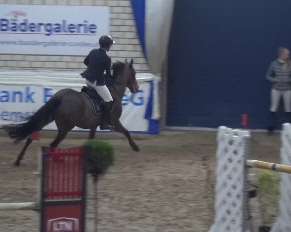 Reitturnier Lathen 2020
