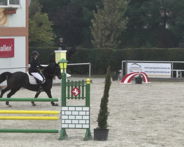 Reitturnier Durmersheim-Hardt 2021