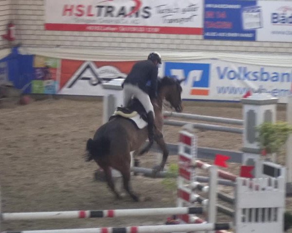 Reitturnier Lathen 2020