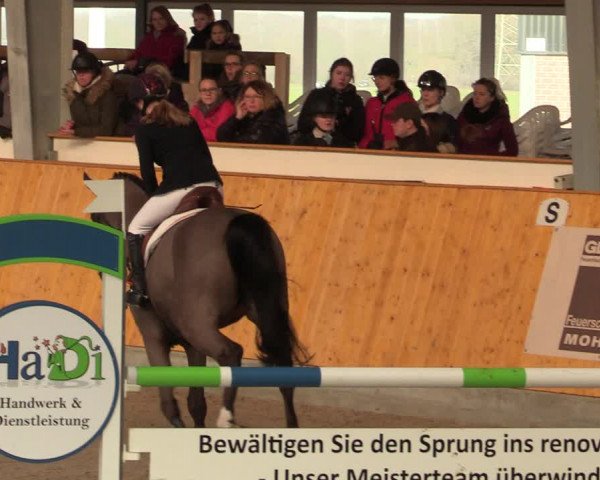 Reitturnier Münster-Amelsbüren 2020