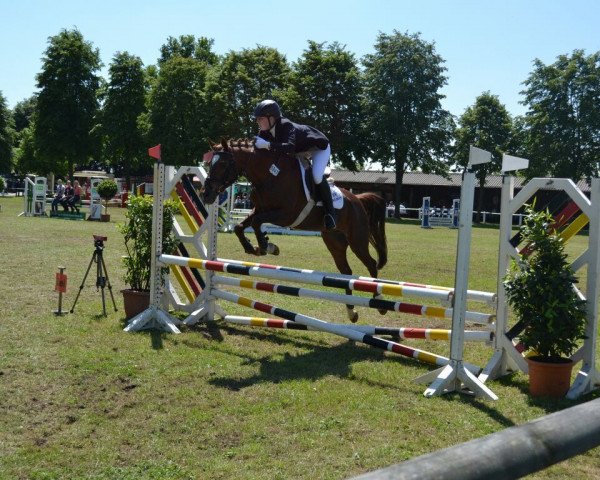 broodmare Ravenna 374 (German Riding Pony, 1998, from Oosteinds Ricky)