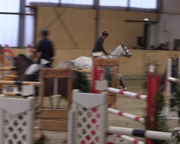 FEI Reitturnier Damme-Neuenwalde (GER) 2020