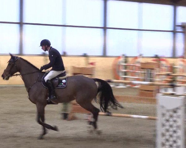 FEI Reitturnier Damme-Neuenwalde (GER) 2020