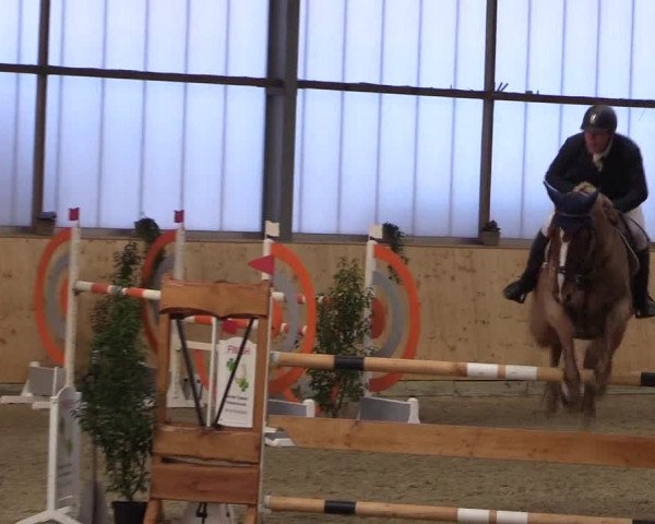 FEI Reitturnier Damme-Neuenwalde (GER) 2020