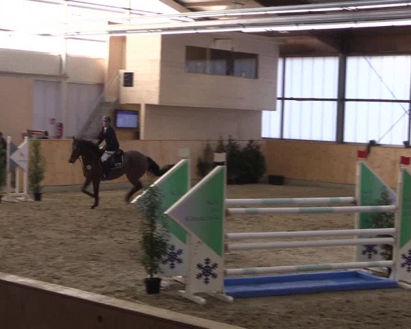 FEI Reitturnier Damme-Neuenwalde (GER) 2020