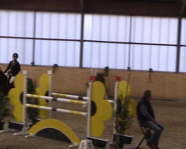 FEI Reitturnier Damme-Neuenwalde (GER) 2020