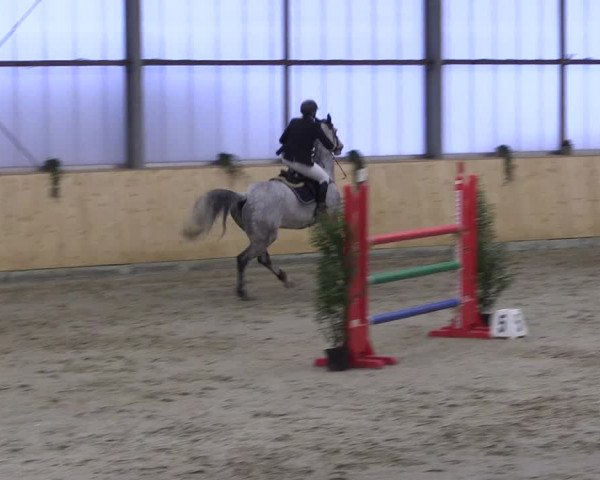 FEI Reitturnier Damme-Neuenwalde (GER) 2020
