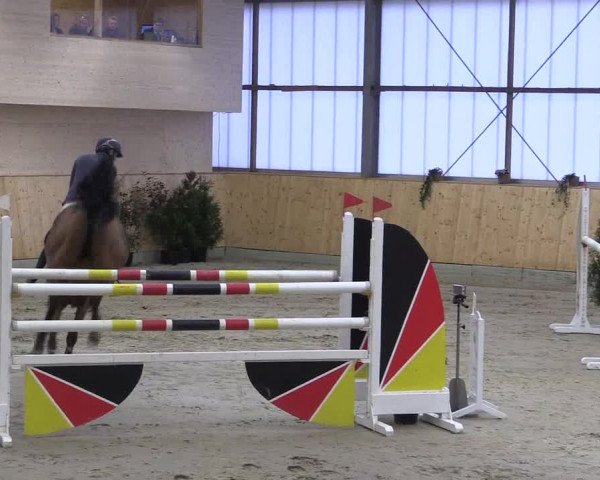 FEI Reitturnier Damme-Neuenwalde (GER) 2020