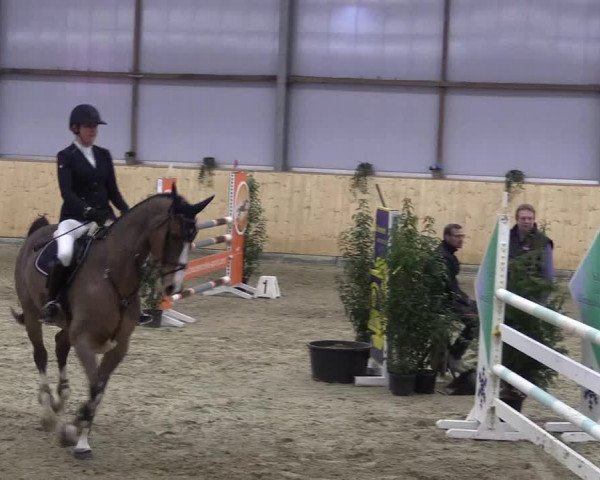 FEI Reitturnier Damme-Neuenwalde (GER) 2020