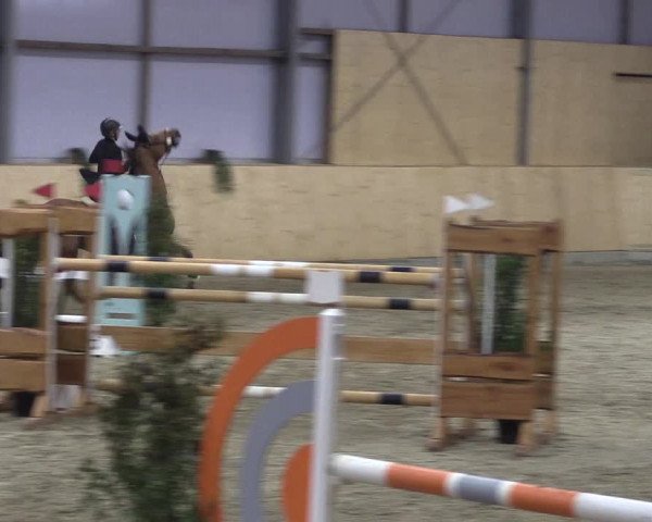 FEI Reitturnier Damme-Neuenwalde (GER) 2020