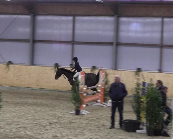 FEI Reitturnier Damme-Neuenwalde (GER) 2020