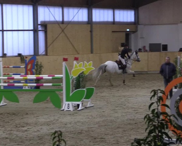 FEI Reitturnier Damme-Neuenwalde (GER) 2020