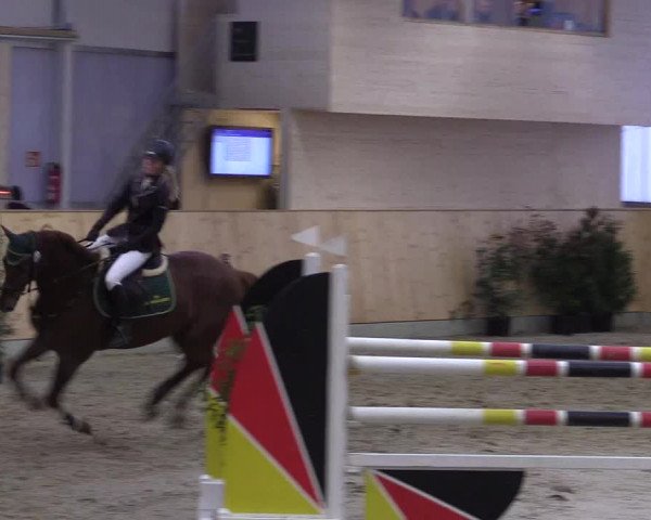 FEI Reitturnier Damme-Neuenwalde (GER) 2020