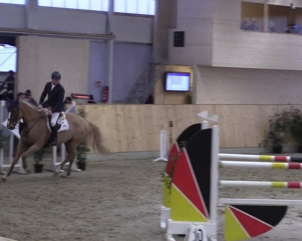FEI Reitturnier Damme-Neuenwalde (GER) 2020