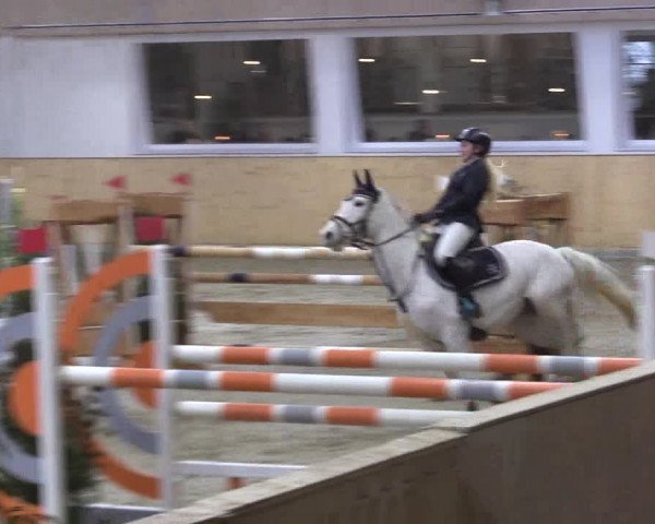 FEI Reitturnier Damme-Neuenwalde (GER) 2020