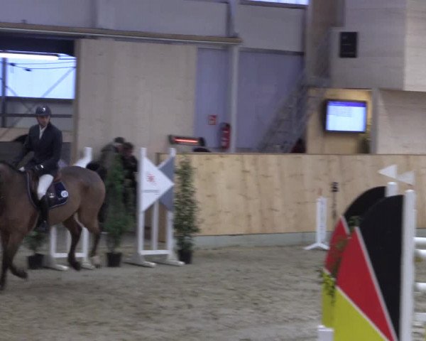 FEI Reitturnier Damme-Neuenwalde (GER) 2020