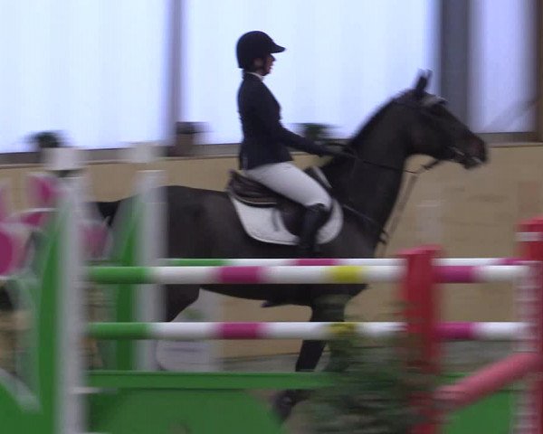 FEI Reitturnier Damme-Neuenwalde (GER) 2020