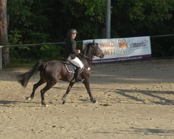 Reitturnier Leingarten 2021