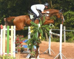 jumper Wanja (Hanoverian, 2002, from White Star)