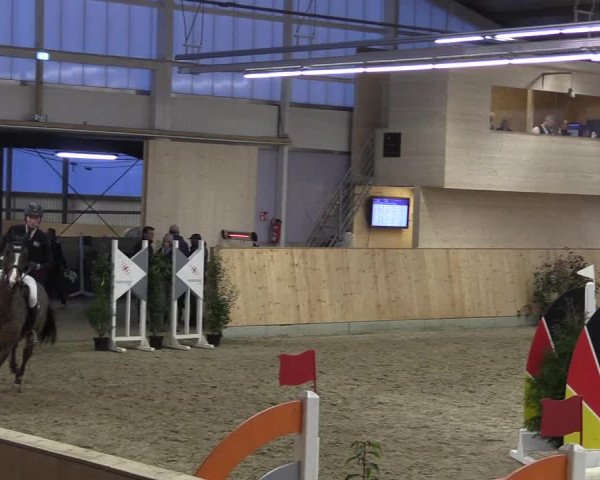 FEI Reitturnier Damme-Neuenwalde (GER) 2020